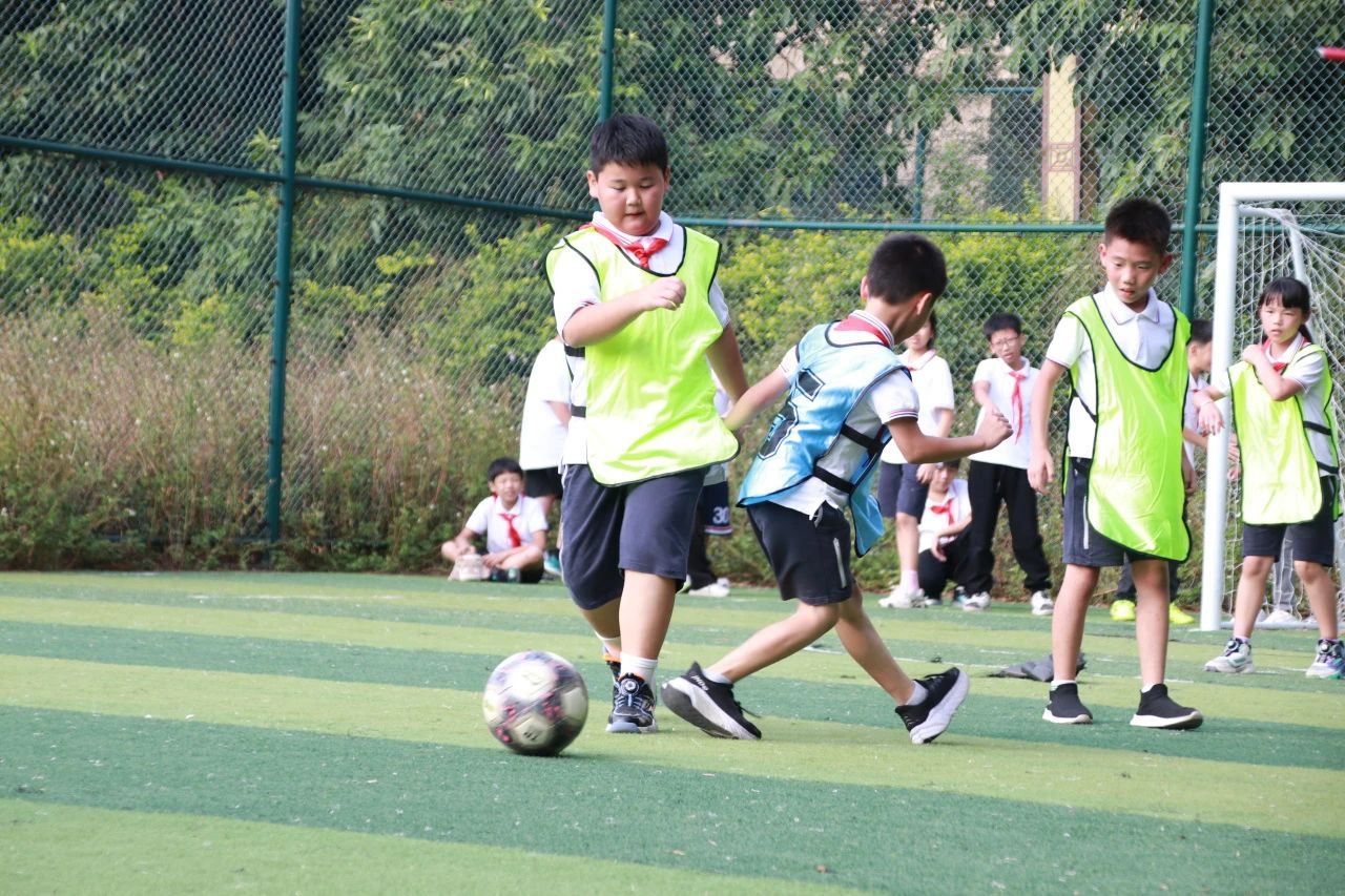 【主題教育】逐夢新時代 運動向未來|博雅學校第四屆秋季運動會精彩瞬間來啦